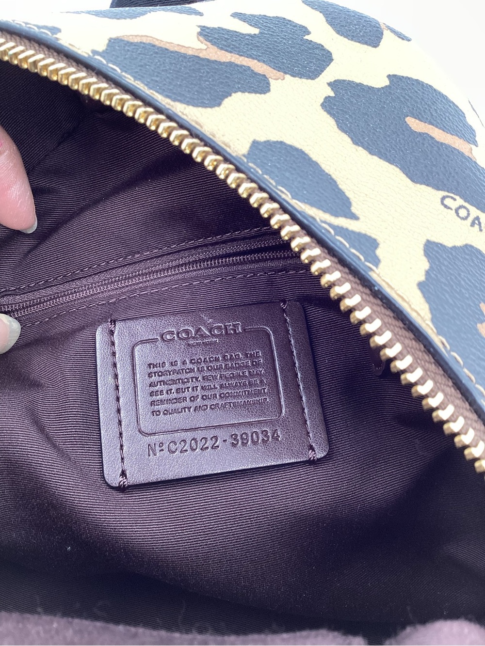 Coach Charlie Dark Mini Backpack Brown Signature Coated Canvaswith Gold Hardware - Picture 5 of 11
